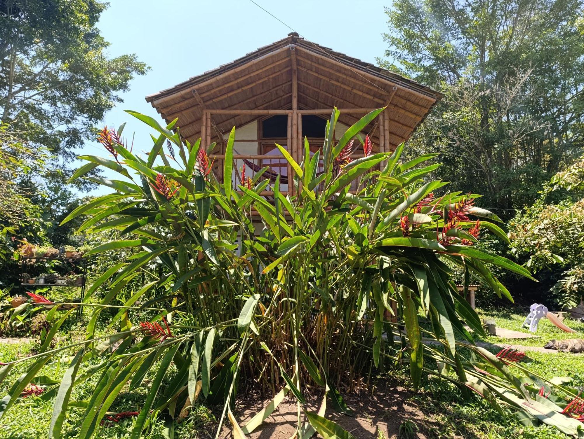 Casa Entera Finca Cometa San Agustín المظهر الخارجي الصورة