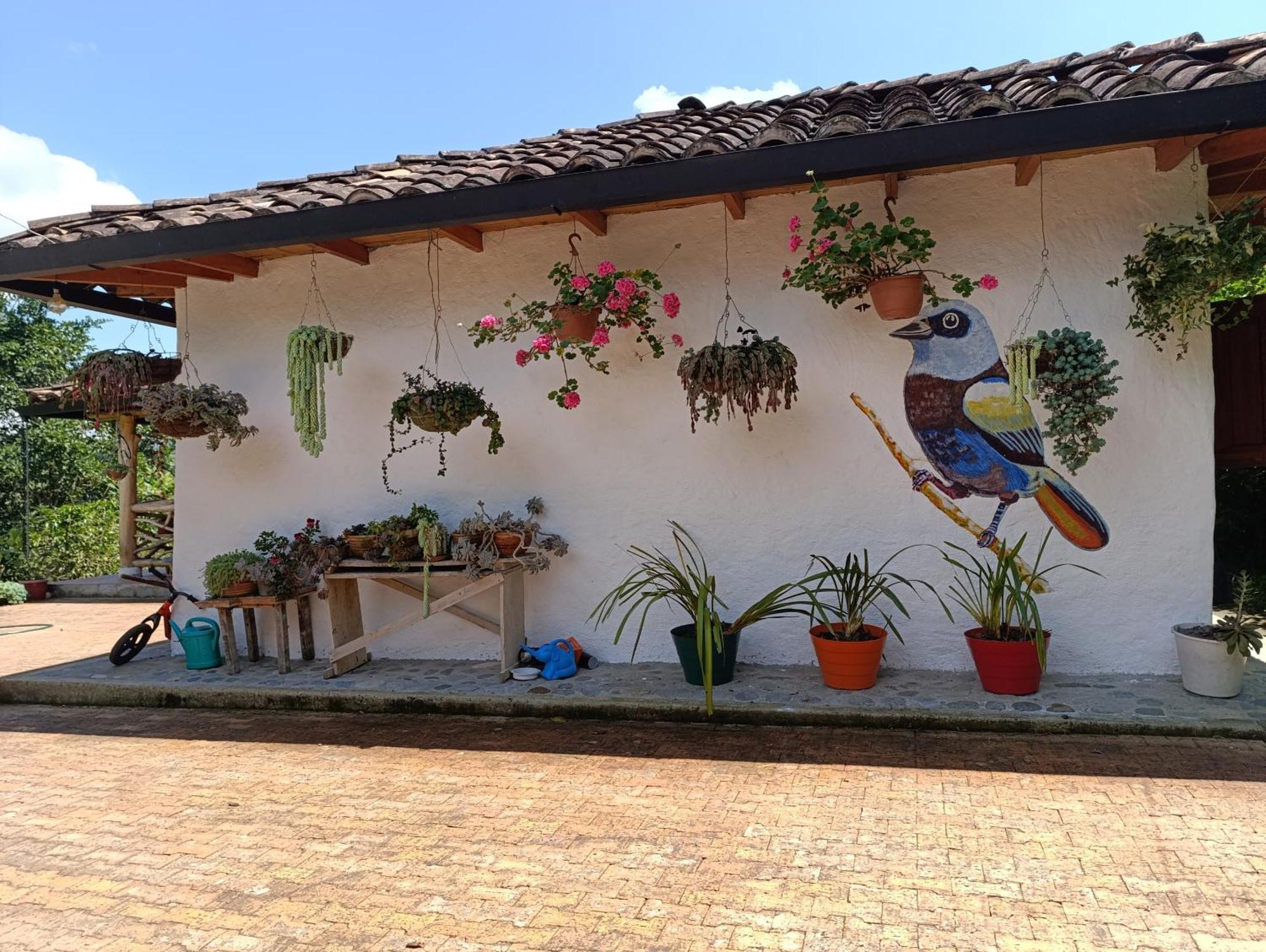 Casa Entera Finca Cometa San Agustín المظهر الخارجي الصورة