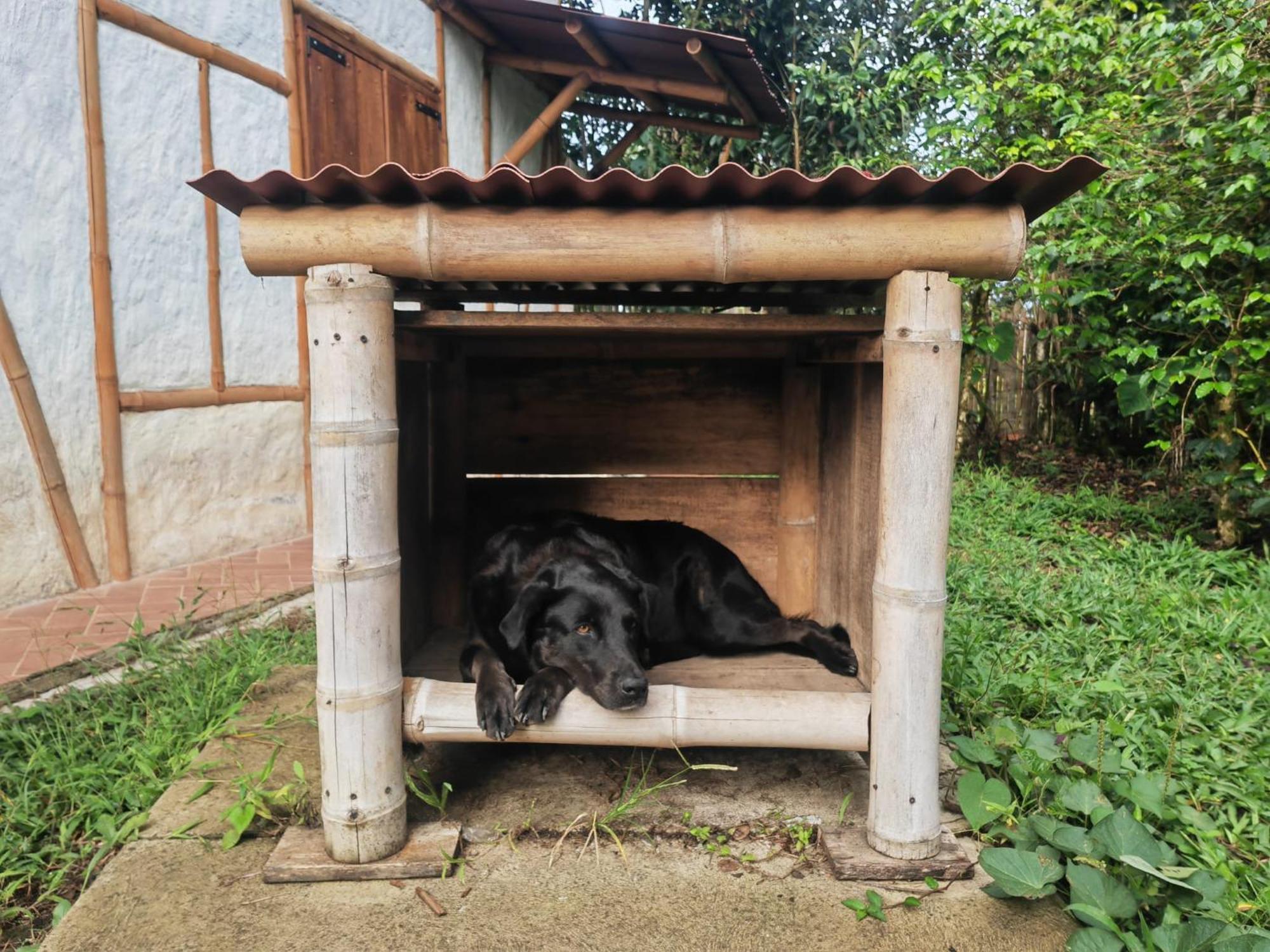 Casa Entera Finca Cometa San Agustín المظهر الخارجي الصورة
