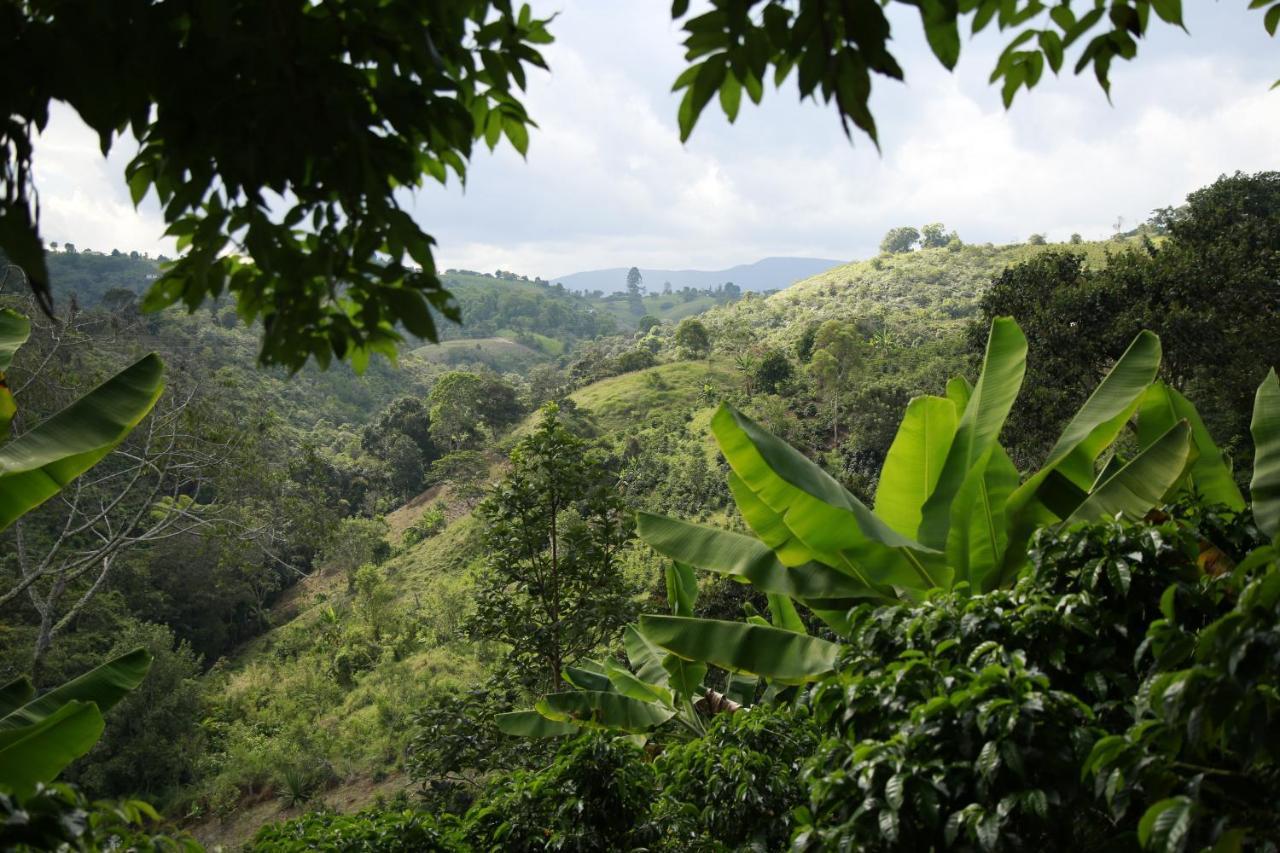 Casa Entera Finca Cometa San Agustín المظهر الخارجي الصورة